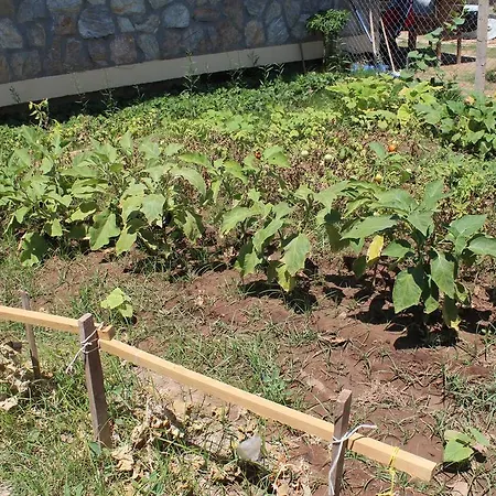 Апарт-отель Deniz Apart