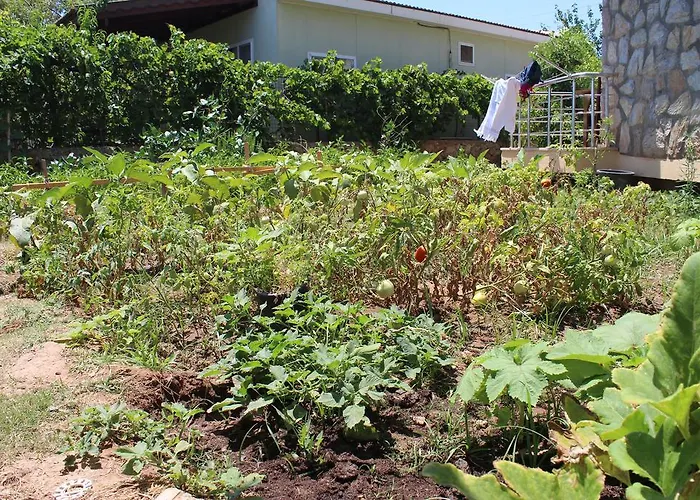 Aparthotel Deniz Apart