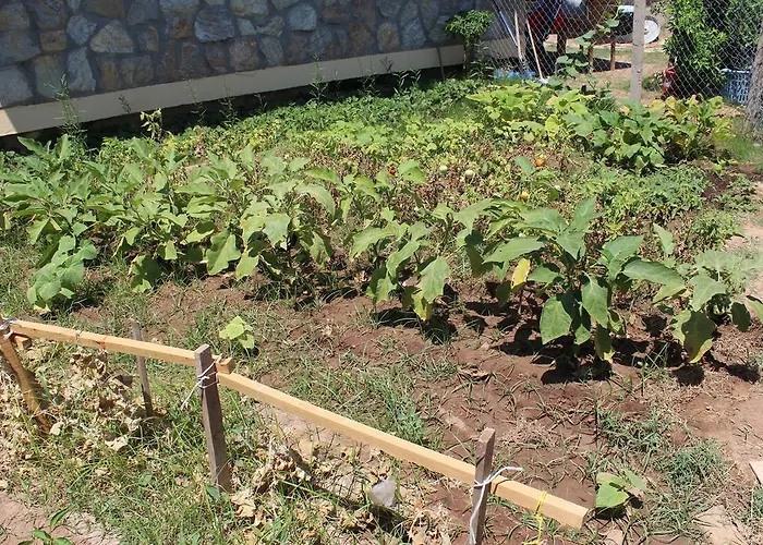 Aparthotel Deniz Apart