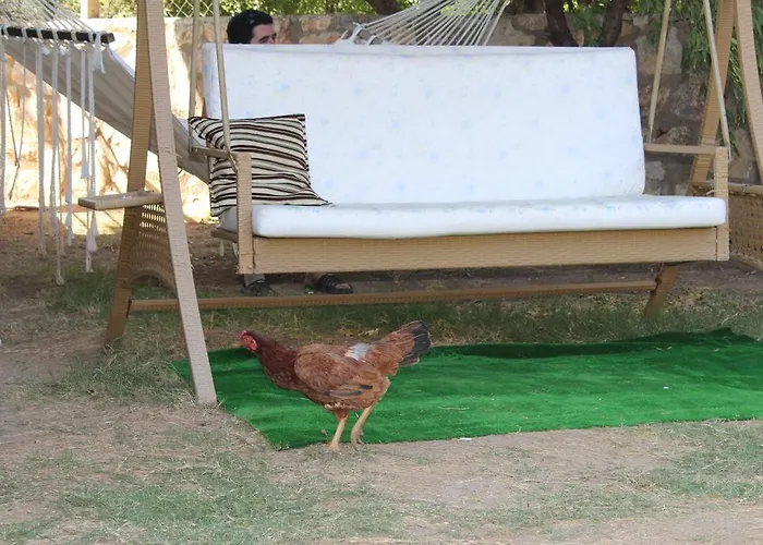 Aparthotel Deniz Apart Palamutbuku