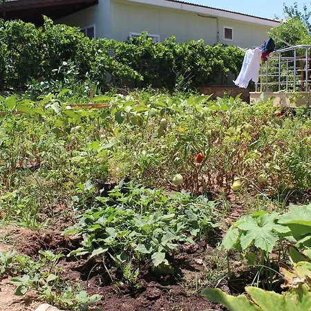 Apartahotel Deniz Apart