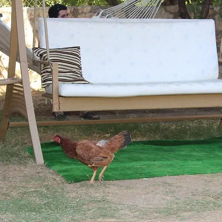 Apartahotel Deniz Apart Palamutbuku